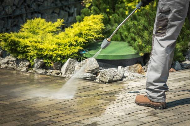 Best Gutter Cleaning and Brightening in Clayton, AL